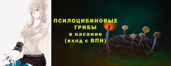мет Пересвет