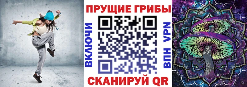 Купить закладки  Советск  Псилоцибиновые грибы Magic Shrooms 